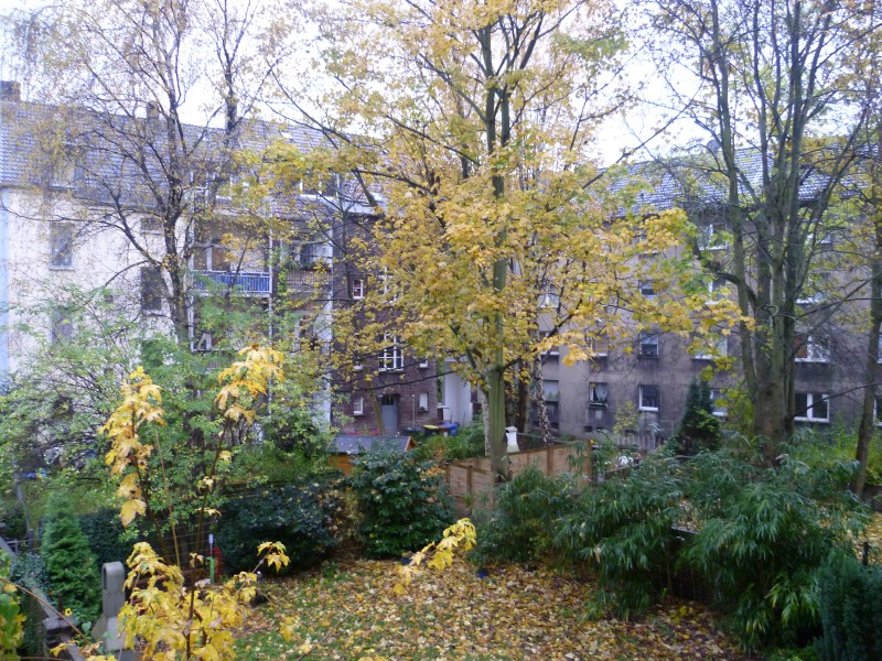 cortile interno